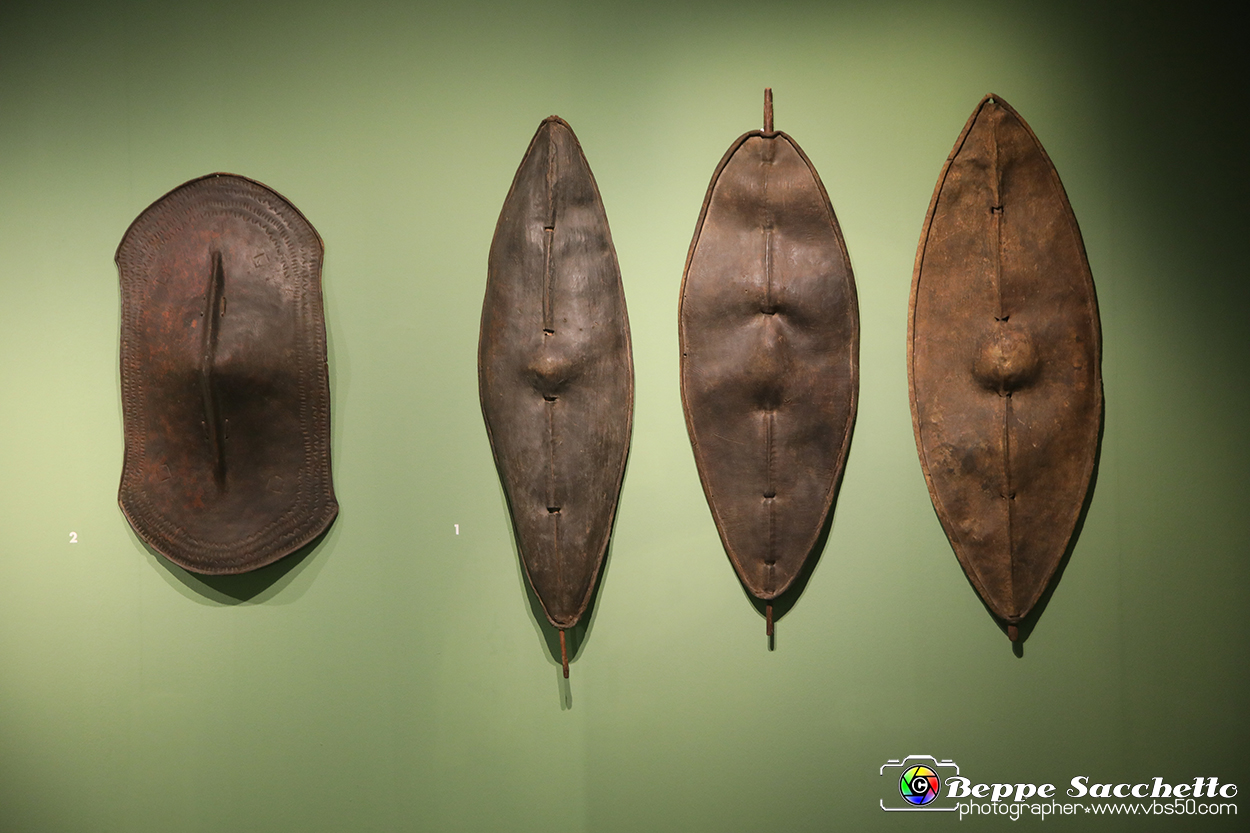 VBS_5333 - Africa - Le collezioni dimenticate.jpg